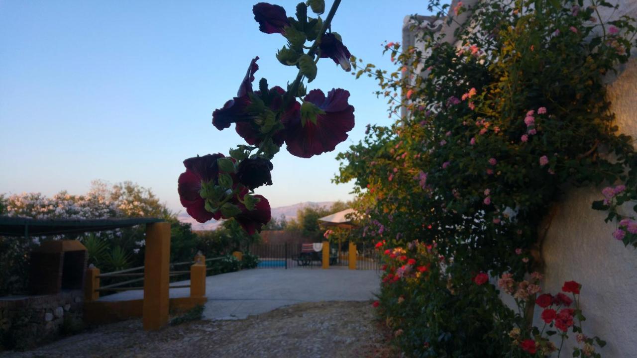 Casa Rural Huerta La Lapa Canete la Real Buitenkant foto