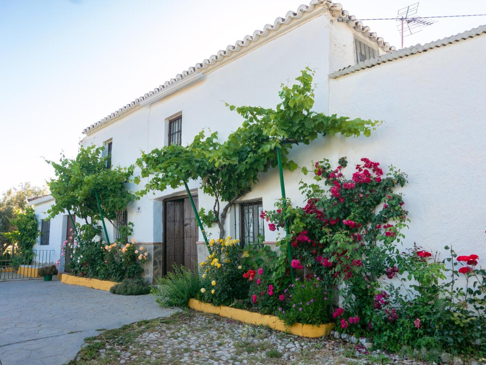 Casa Rural Huerta La Lapa Canete la Real Buitenkant foto